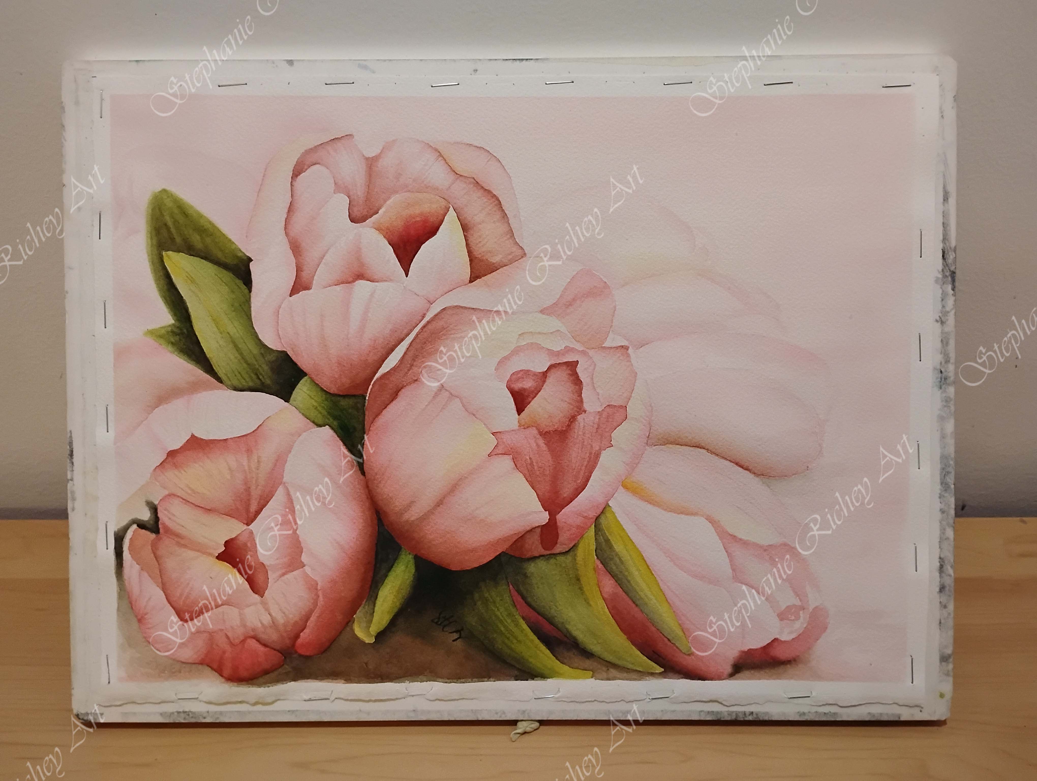 Pink Tulips