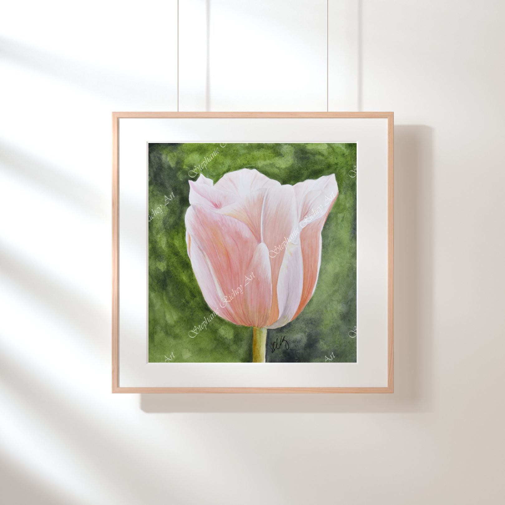 small peach tulip print in a light wood frame with white mat.