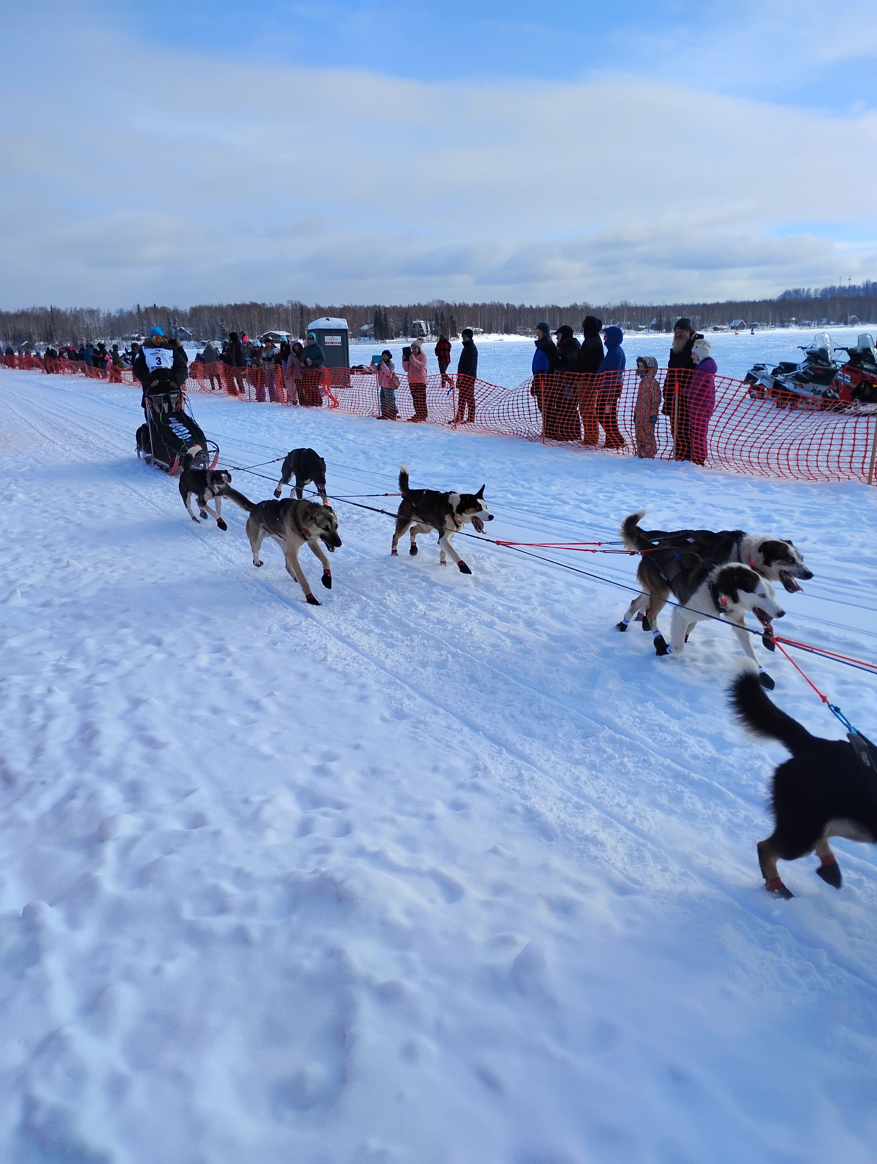Iditarod 2026