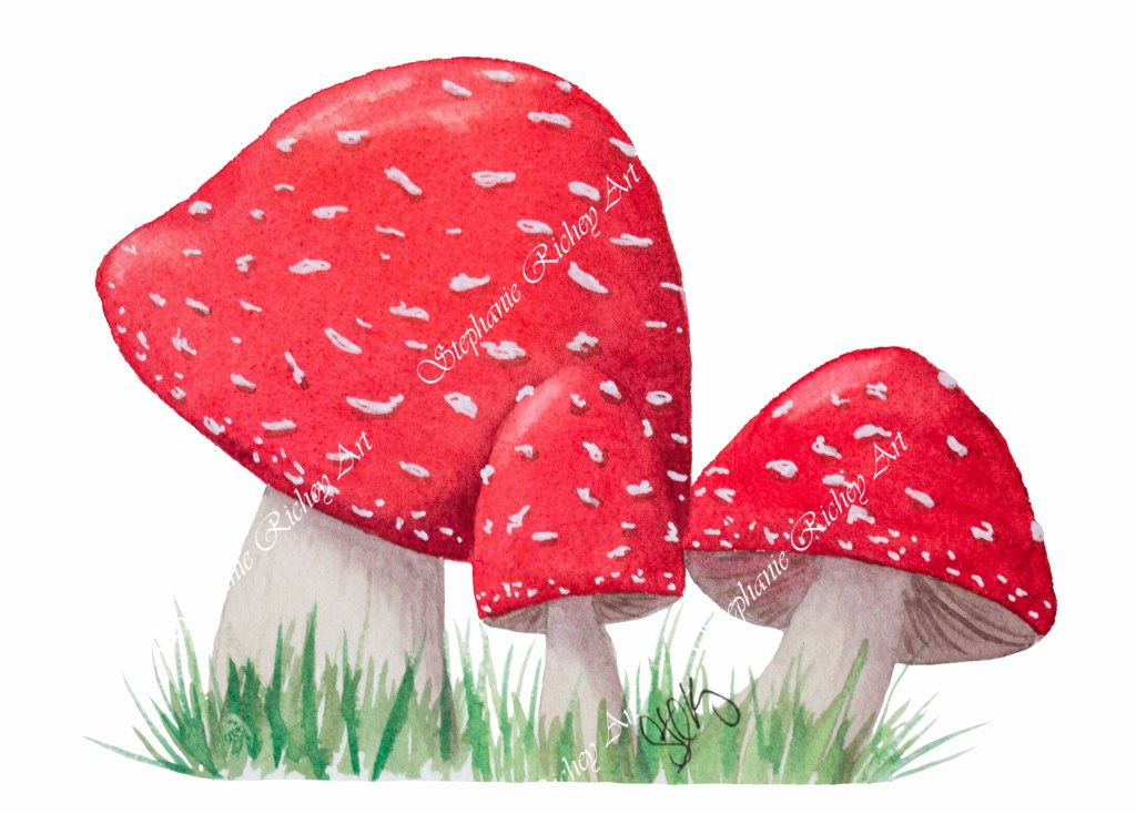 Three red capped watercolor mushrooms growing out of grassy ground