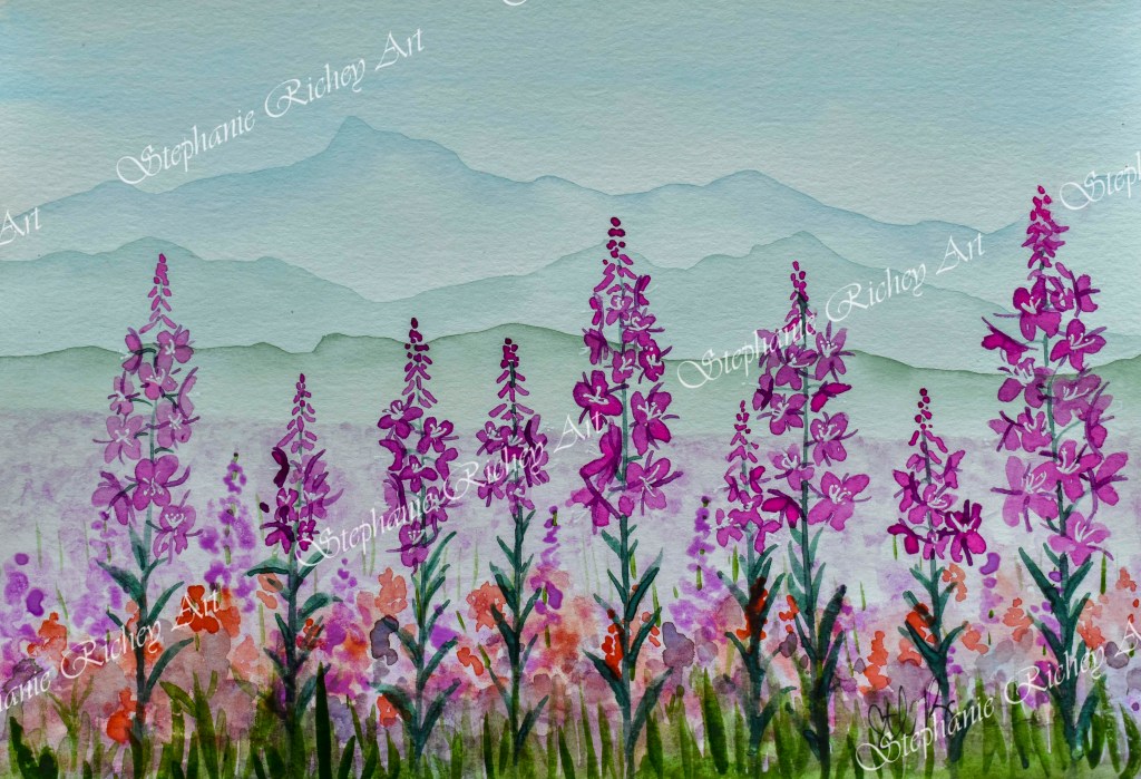 Mountains receding in the background with fully in bloom fireweed flowers in the foreground. All done in watercolor.