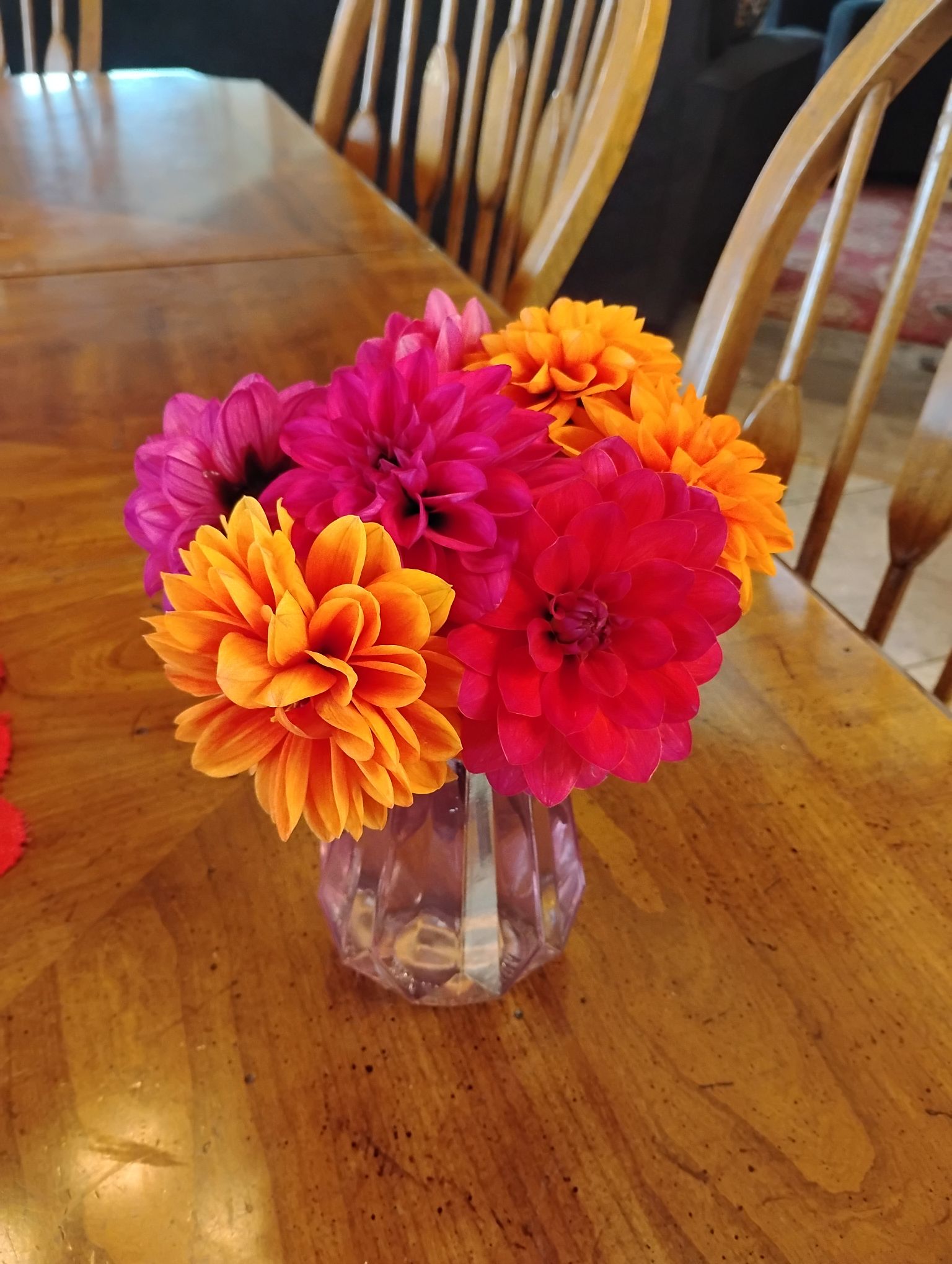 My Gardening Journey – Veggies to Flowers