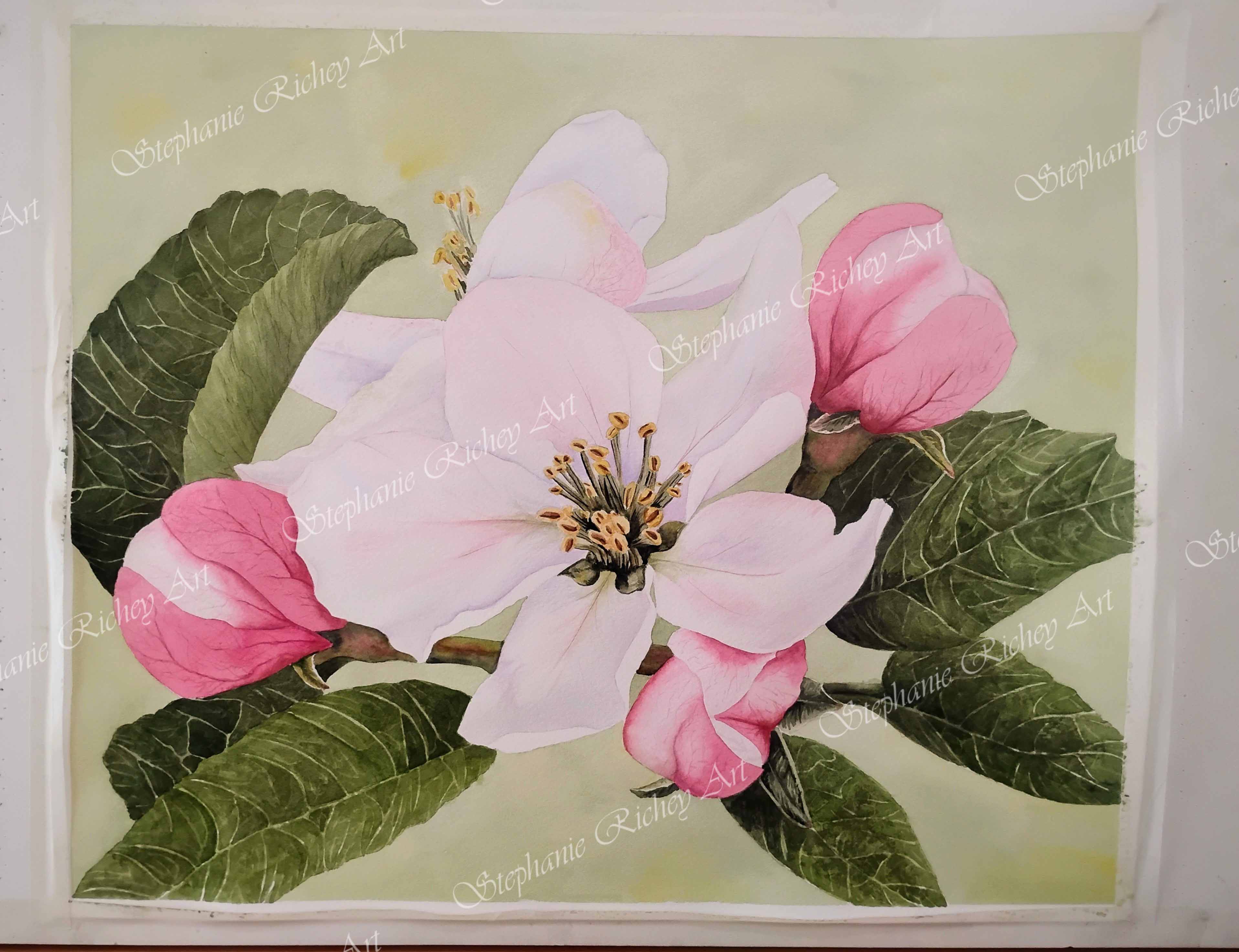 Alaska State Fair Art Submission