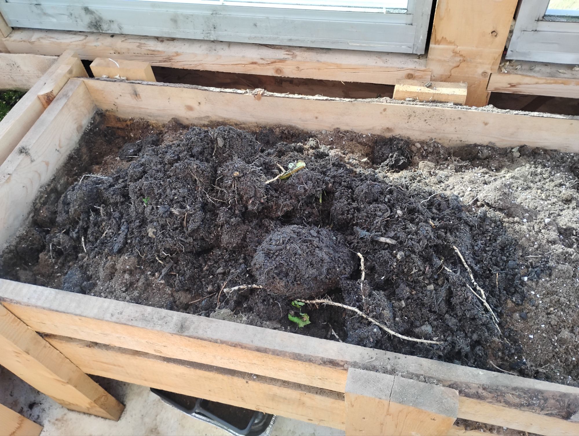 Greenhouse Fall Prep